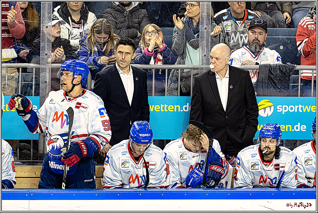 PENNY DEL Viertelfinale Spiel 6;  Koelner Haie - Adler Mannheim; Koeln, 26.03.2023